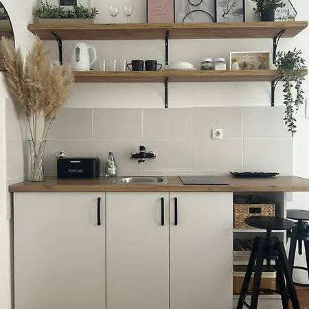 Apartment Sara
